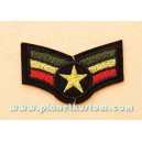 Patch ecusson thermocollant army sergent chef rasta roots